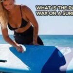 what is a fish surfboard good for-Recovered