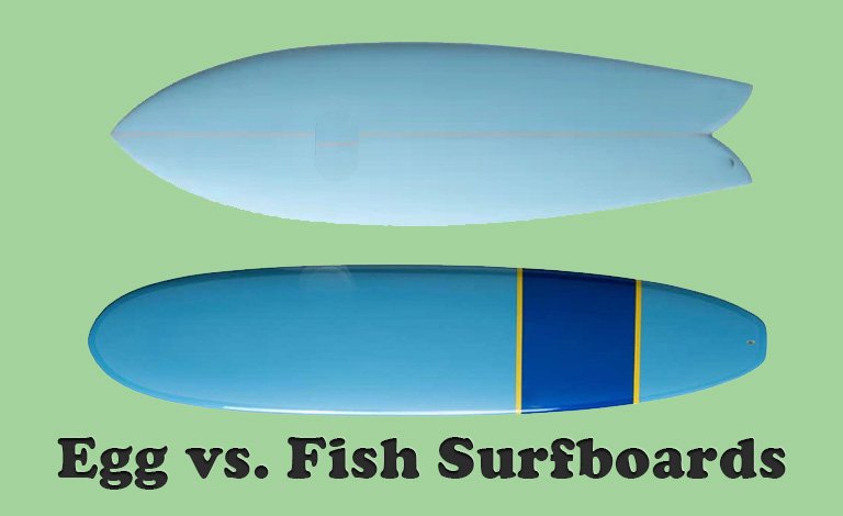 Egg vs Fish Surfboards